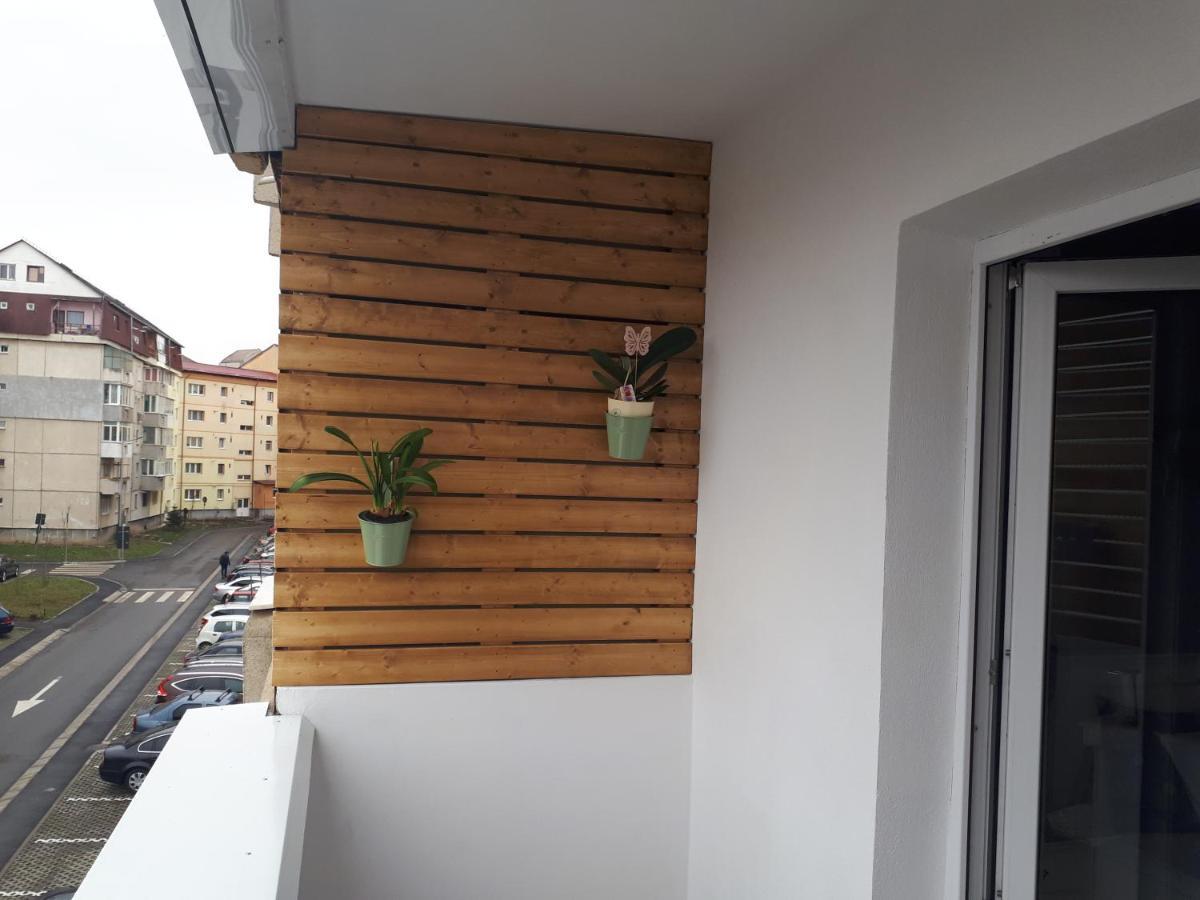 Angel Residence Sibiu Eksteriør bilde